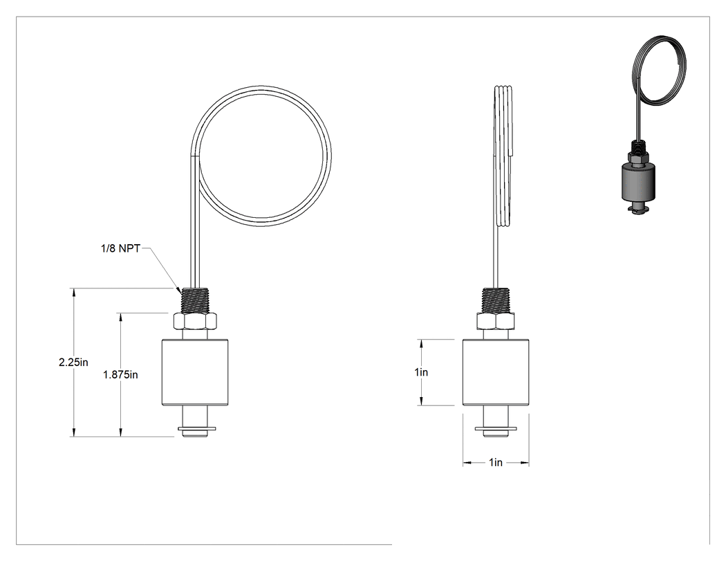 Teknik Çizim - Dikey Montajlı Şamandıra Anahtarı, Yiyecek ve İçecek için, PVDF Şamandıralı