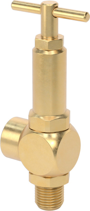 Su için Ayarlanabilir Basınç Tahliye Valfi, 1/4 NPT, 0 ila 1000 PSI Ayar Basıncı Aralığı