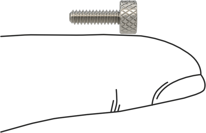 Tırtıllı Başlı El Vidası, Dar, 4-40 Diş Boyutu, 3/8" Uzunluk