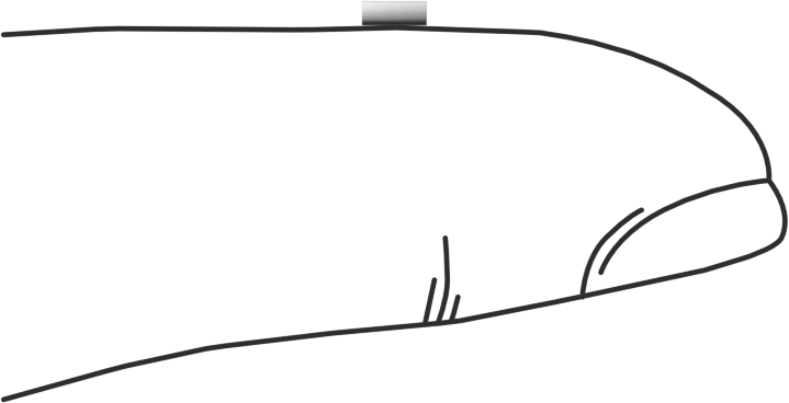 Asetal Silindirik Pimler, 3/64" Çap, 1/8" Uzunluk