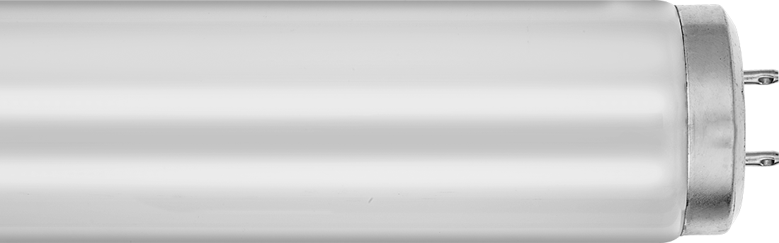 Çift Pimli Tüp Ampuller, T12, 15" Toplam Uzunluk, 4200K, 650 lümen