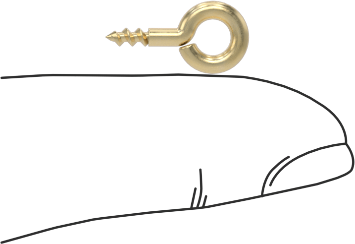 Ahşap için Freze Halkalı Cıvataları — Kaldırma Amaçlı Değildir, Pirinç, Anma Ölçüsü 214-1/2