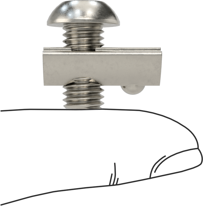 T-Yuvalı Çerçeve Bağlantı Elemanları, Bilyeli Somun ve M8 Vida, 1.5 inç ve 40 mm Ray, Paslanmaz Çelik