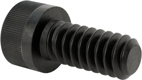 Torx Alaşımlı Çelik Alyan Başlı Vidalar, 4-40 Diş Boyutu, 1/4" Uzunluk