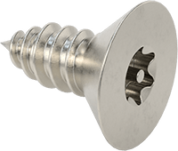 Sac Metal için Kurcalamaya Dayanıklı Torx Havşa Başlı Vida, 18-8 Paslanmaz Çelik