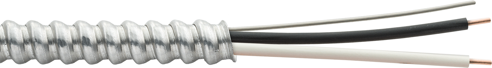 Zırhlı Bina Kablosu, Yalıtımsız Topraklama Kablolu, 10 AWG, 2 Tel