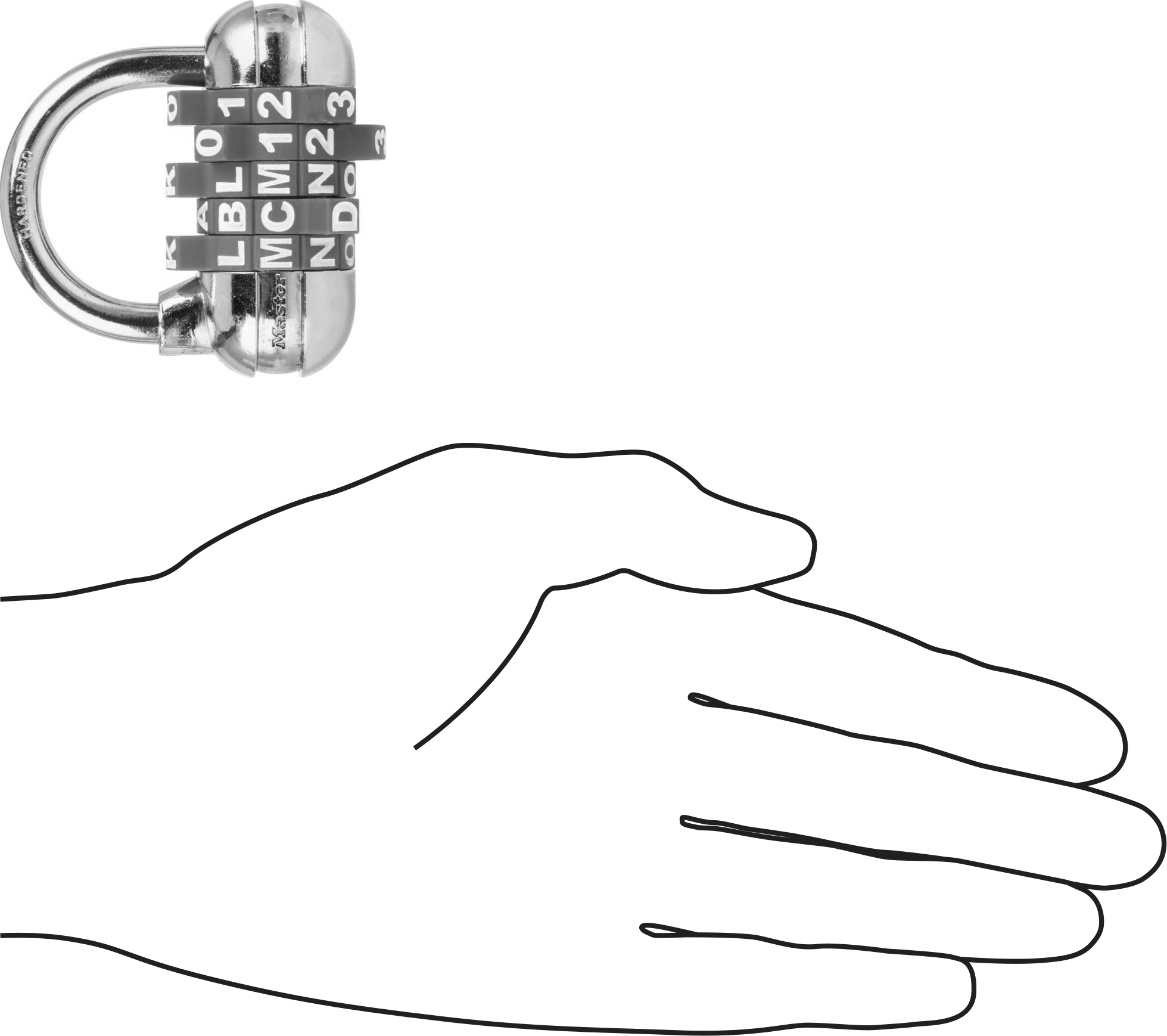 Sıfırlanabilir Şifreli Asma Kilitler, Sağlam Çelik Gövde, Master Lock 1534D