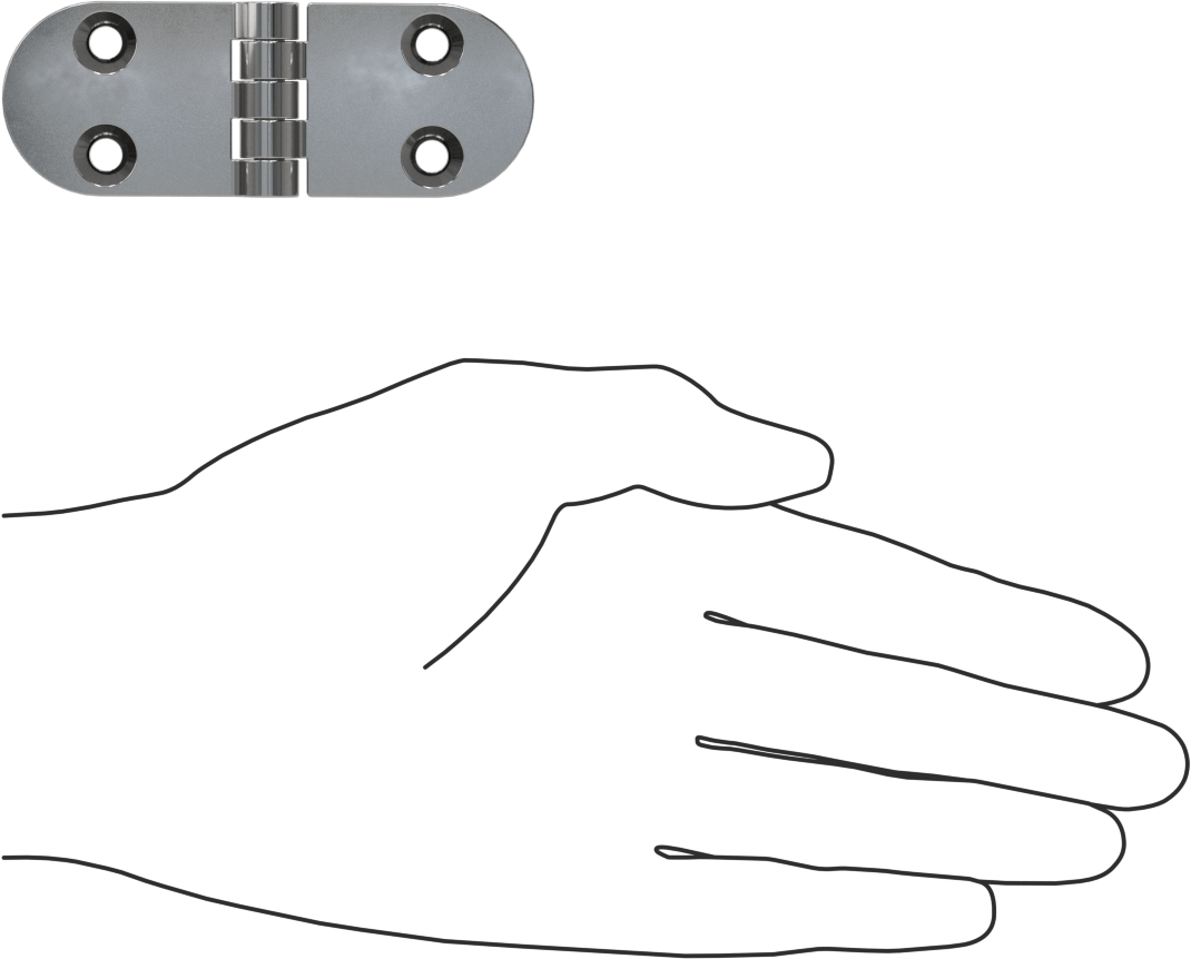 Delikli Yüzeye Montaj Menteşesi, 316 Paslanmaz Çelik, 1-3/16" x 1-5/8" Kapı Kanadı