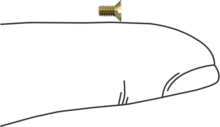Pirinç Oluklu Havşa Başlı Vidalar, M2 x 0.4 mm Diş Boyutu, 4 mm Uzunluk
