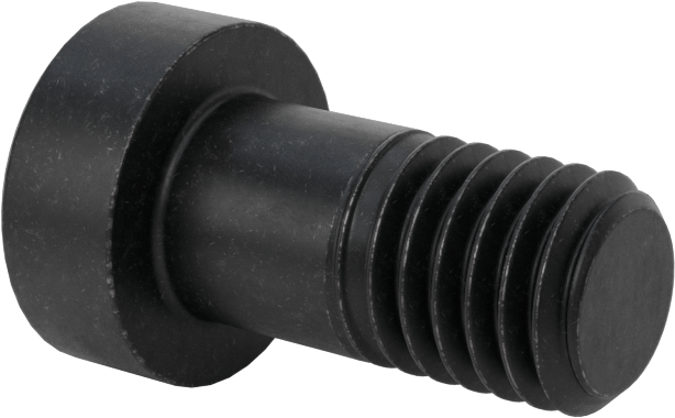 Alaşımlı Çelik Düşük Profilli Alyan Başlı Vida, Girintili Altıgen, Siyah 10.9 Çelik, M8 x 1.25mm, 16 mm Uzunluk