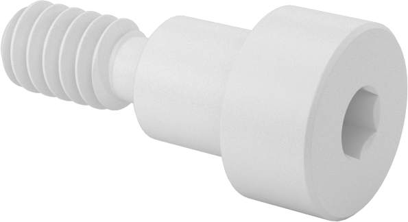 Naylon Omuzlu Vidalar, 1/4" Omuz Çapı, 1/4" Omuz Uzunluğu, 10-24 Diş