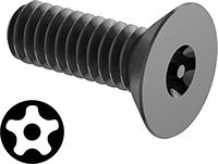 Kurcalamaya Dayanıklı Torx Plus Çelik Havşa Başlı Vidalar