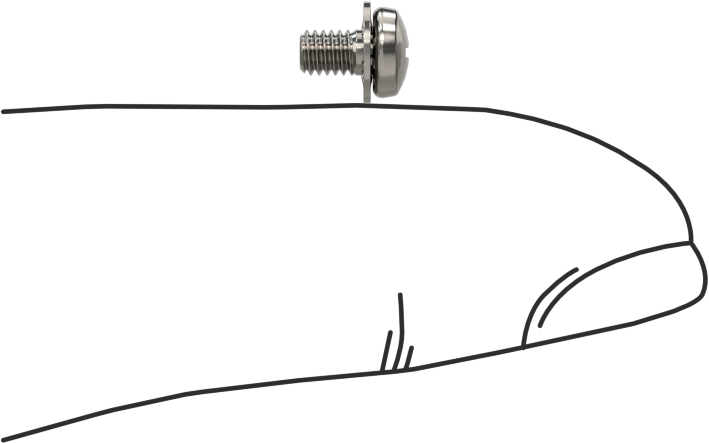 Paslanmaz Çelik Silindir Başlı Vidalar, İç Dişli Pullu, M2.5 x 0.45 mm Diş, 4 mm Uzunluk
