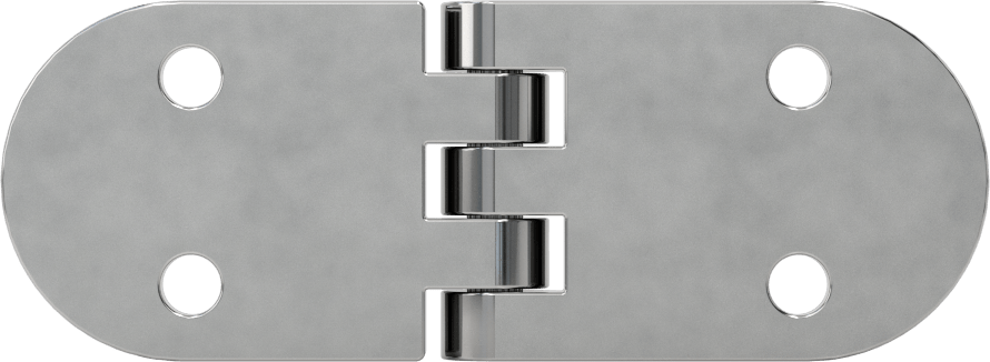 Delikli Yüzeye Montaj Menteşesi, 316 Paslanmaz Çelik, 1-3/16" x 1-5/8" Kapı Kanadı