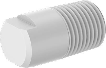 Fiş, Kimyasallar için Yüksek Sıcaklık PTFE Boru için 1/8 NPT Erkek