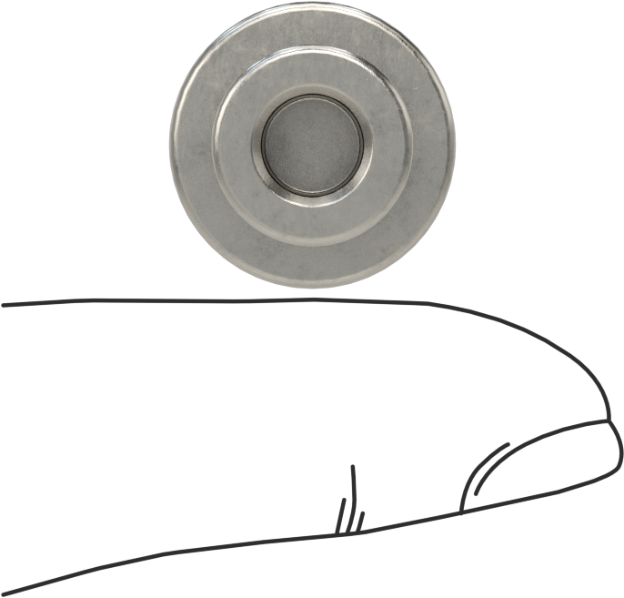 303 Paslanmaz Çelik Tırtıllı Düğme, 1/4" Çapında Dişsiz Delik ve 3/4" Baş Çapılı