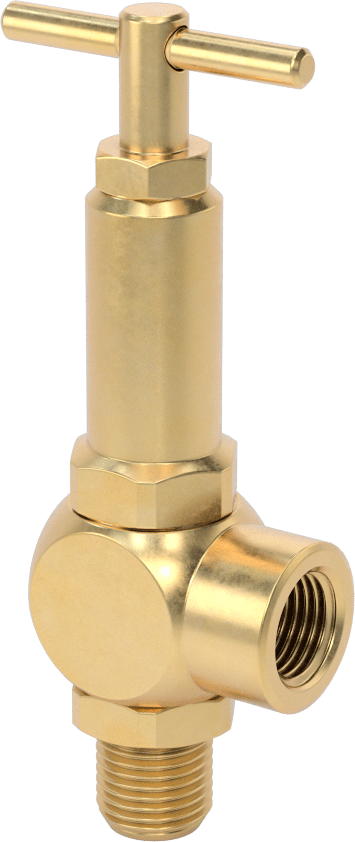 Su için Ayarlanabilir Basınç Tahliye Valfi, 1/4 NPT, 0 ila 1000 PSI Ayar Basıncı Aralığı