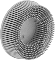 Hızlı Değiştirilebilir Disk Fırçalar