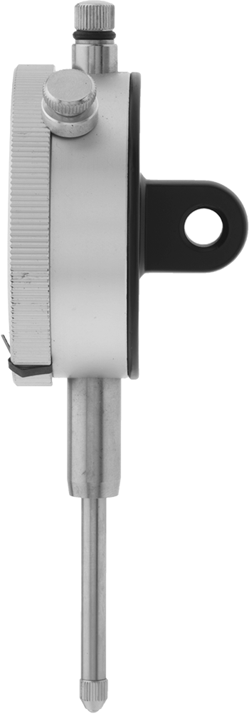 Side View