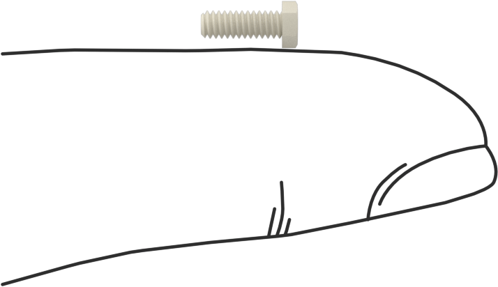 Seramik Altıköşe Başlı Vida, 2-56 Diş Boyutu, 1/4" Uzunluk