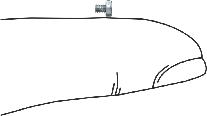 Çelik Silindir Başlı Phillips Vida, M1.6 x 0.35 mm Diş, 2 mm Uzunluk