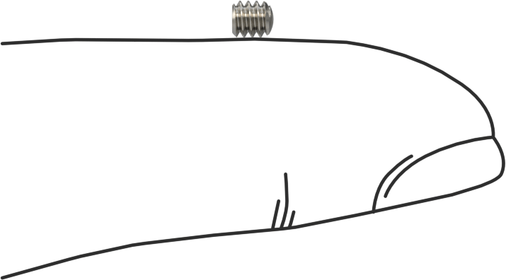 18-8 Paslanmaz Çelik Oval Uçlu Setskur, 4-40 Diş, 1/8" Uzunluk