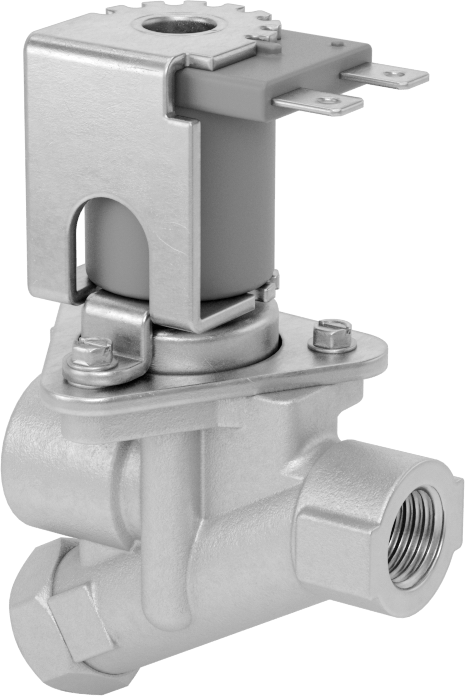 Kolay Erişilebilir Süzgeçli Solenoid Açma/Kapama Vanası, Deterjan için, 24V AC, 1/4 NPT Dişi