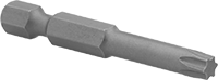 Vida Tutucu Torx Uçları