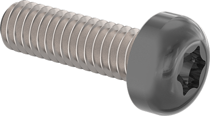 Boyalı Çelik Silindir Başlı Torx Vidaları