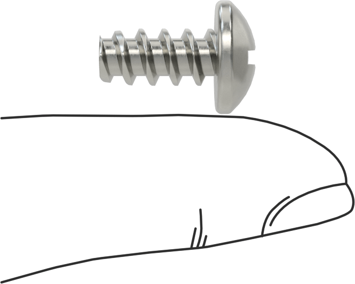 Phillips Yuvarlak Başlı Diş Açıcı Vidalar, Plastik için, 18-8 Paslanmaz Çelik, 1/4" Vida Boyutu, 1/2" Uzunluk