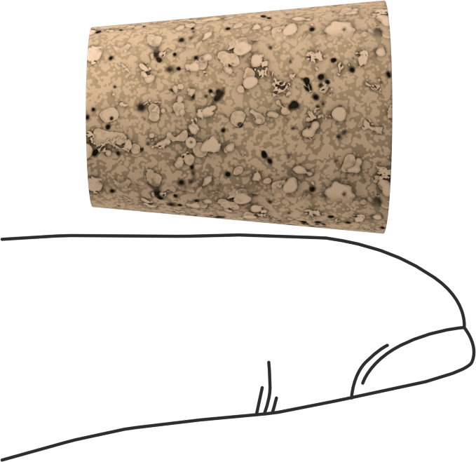 Mantar Konik Tapalar, Anma Ölçüsü 6, 5/8" ila 45/64" İç Çap için