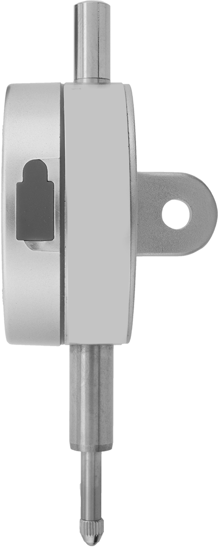 Side View