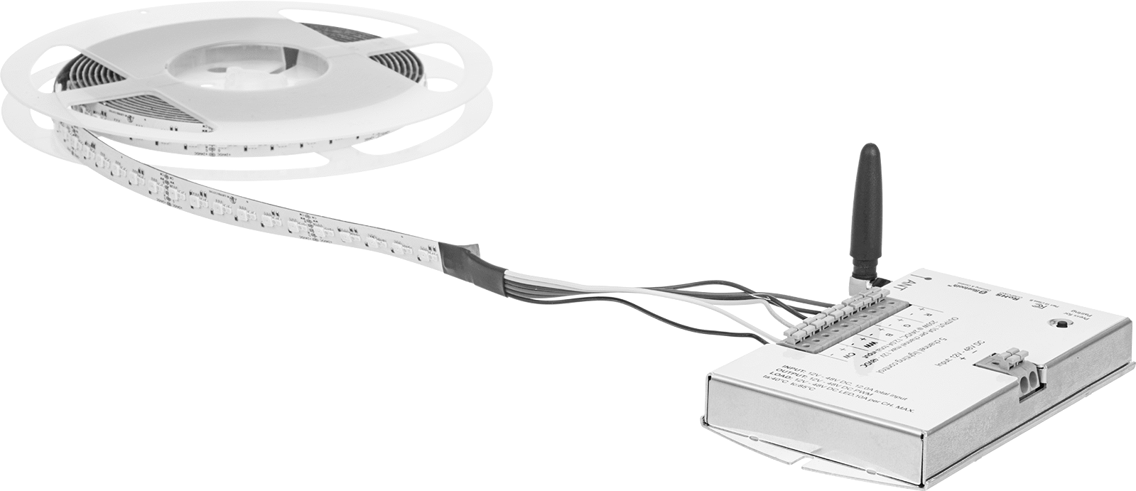 Bant Işığı, Tozlu/Yıkanabilir (IP68), Herhangi Bir Renk (2100K-6500K), 6' Uzunluk — Herhangi Bir Renk, 6 ft., 9⁄16", 15 mm