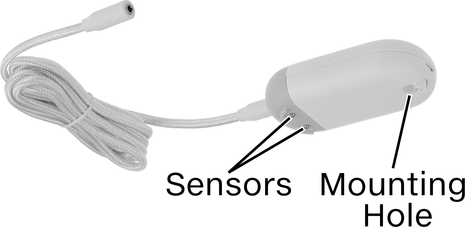 Detector (Bottom)
