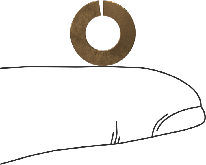 Silikon Bronz Yaylı Pul, 1/4" Vida Boyutu için, 0.26" İç Çap, 0.487" Dış Çap