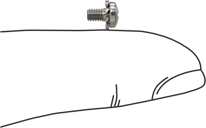 Paslanmaz Çelik Silindir Başlı Vidalar, Dış Dişli Pullu, M2.5 x 0.45 mm Diş, 4 mm Uzunluk
