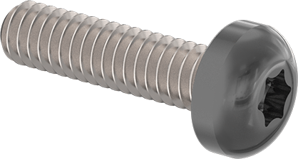 Boyalı Çelik Silindir Başlı Torx Vidaları, Siyah Başlıklı