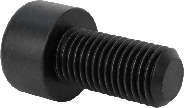 İnce Dişli Alaşımlı Çelik Alyan Başlı Vida, M6 x 0.75 mm Diş, 12 mm Uzunluk
