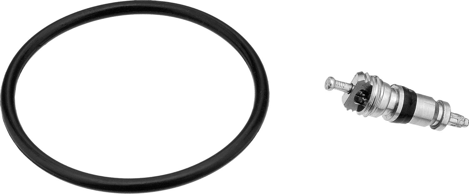 ARO Basınçlı Hava Filtresi Conta Kiti, 1000 Serisi için — O-Ring, Buna-N, Rubber, ARO