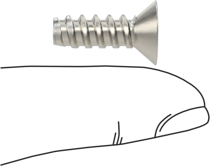 Plastik için Paslanmaz Çelik Havşa Başlı Diş Açıcı Vidalar, Phillips Tahrik, 1/4" Vida Boyutu, 3/4" Uzunluk