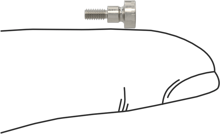316 Paslanmaz Çelik Omuzlu Vida, 3 mm Çap x 3 mm Omuz Uzunluğu, M2 x 0.4 mm Diş