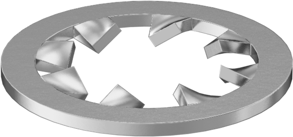 Internal Tooth