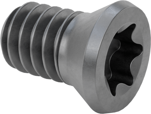 Ccud Delme Karbür Uç Tutucular için Mts-183 Torx Vida — Torx Vida