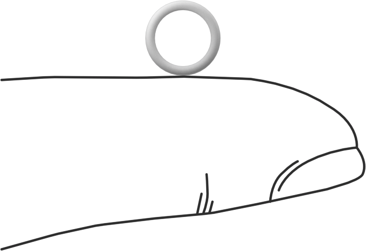 Ultra Kimyasal Dirençli Sert PTFE O-Ring, 1 mm Genişlik, 6 mm İç Çap