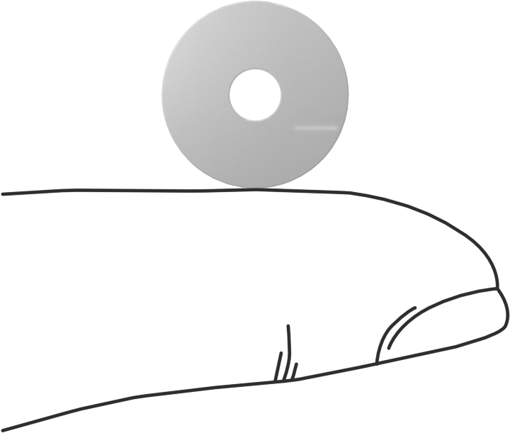 PTFE Plastik Pul, 6 numaralı vida boyutu için, 0.156" İç Çap, 0.562" Dış Çap