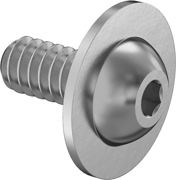 Ekstra Geniş Flanşlı Düğme Başlı Vida, 4-40 Diş, 1/4" Uzunluk