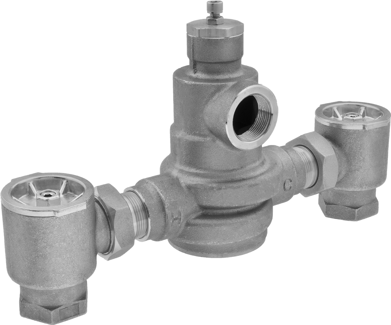 Su için Yüksek Akışlı Karıştırma Vanası, 1-1/4 Giriş x 1-1/4 Çıkış NPT Dişi