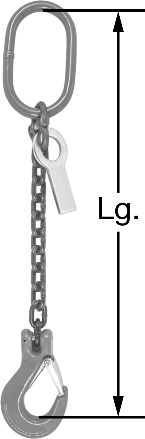 1 Leg