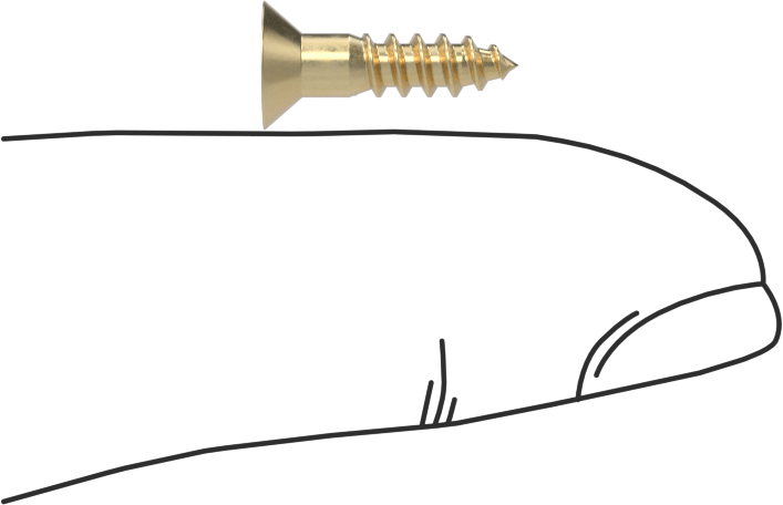 Ahşap için Pirinç Phillips Havşa Başlı Vidalar, 5 Numara, 1/2" Uzunluk