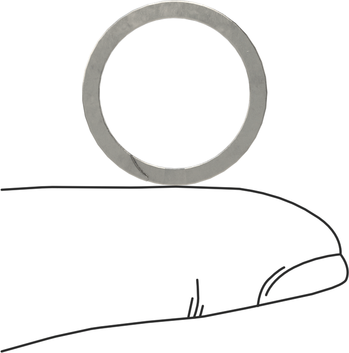 Ağır Hizmet Tipi Spiral Dış Segman, 18 mm Dış Çap için, 18-8 Paslanmaz Çelik